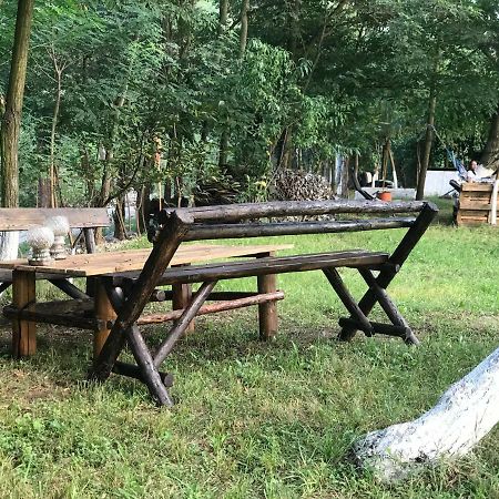 Camping In Clisura Dunarii Ieşelniţa Eksteriør billede