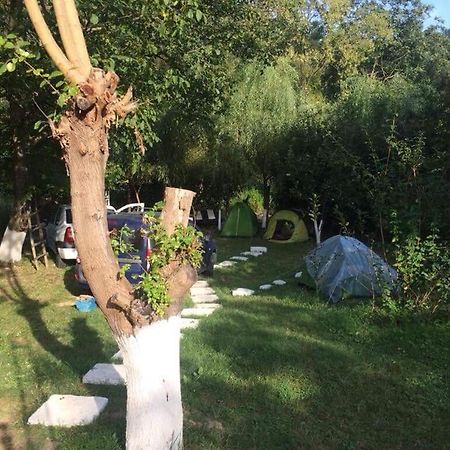 Camping In Clisura Dunarii Ieşelniţa Eksteriør billede