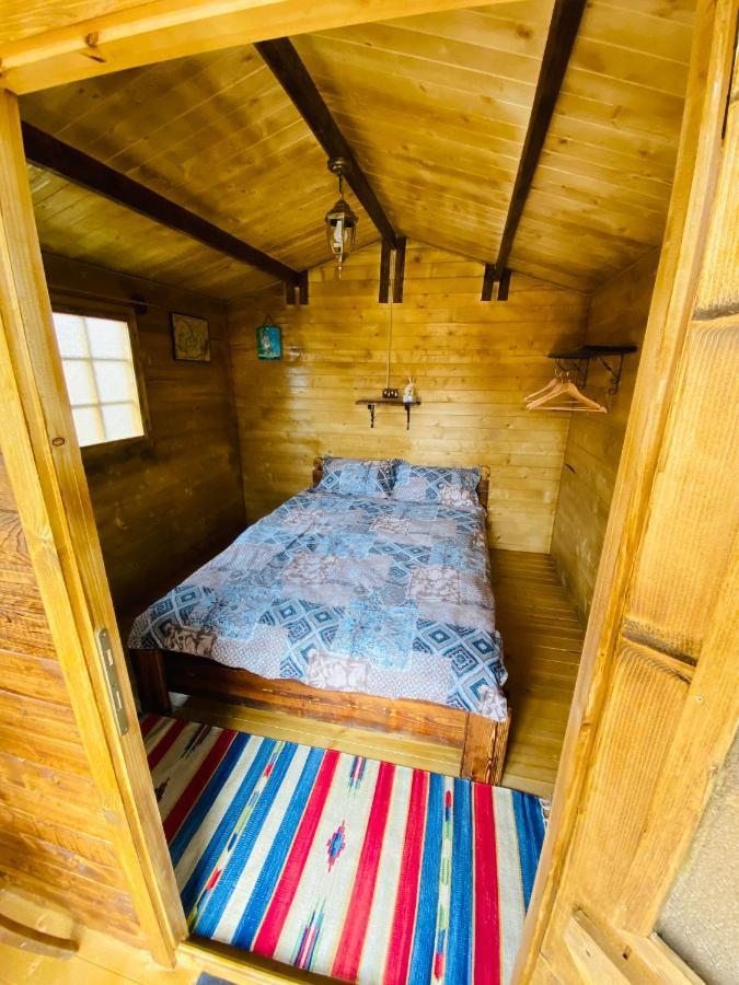 Camping In Clisura Dunarii Ieşelniţa Eksteriør billede