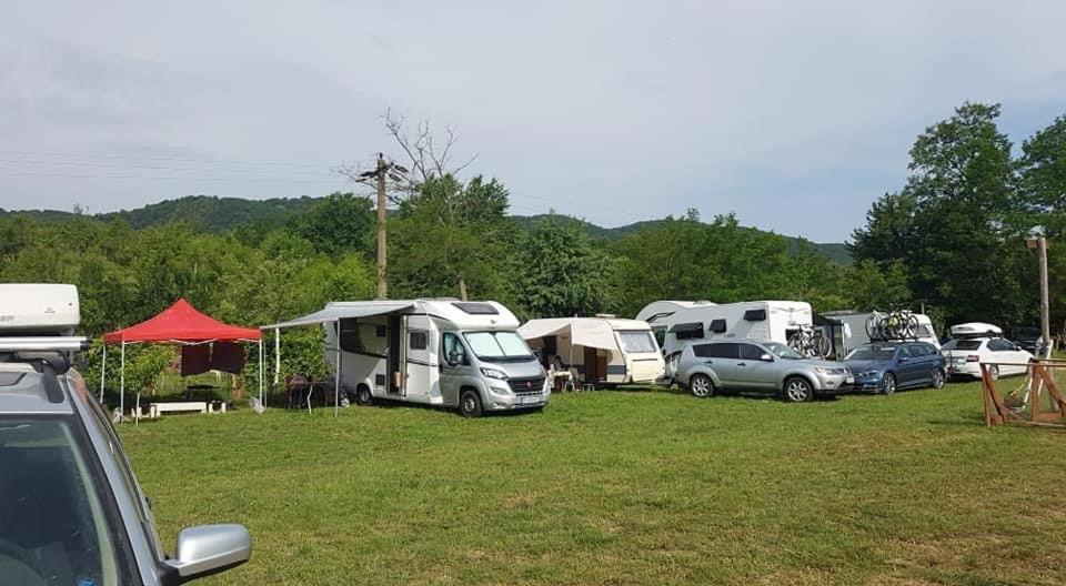 Camping In Clisura Dunarii Ieşelniţa Eksteriør billede