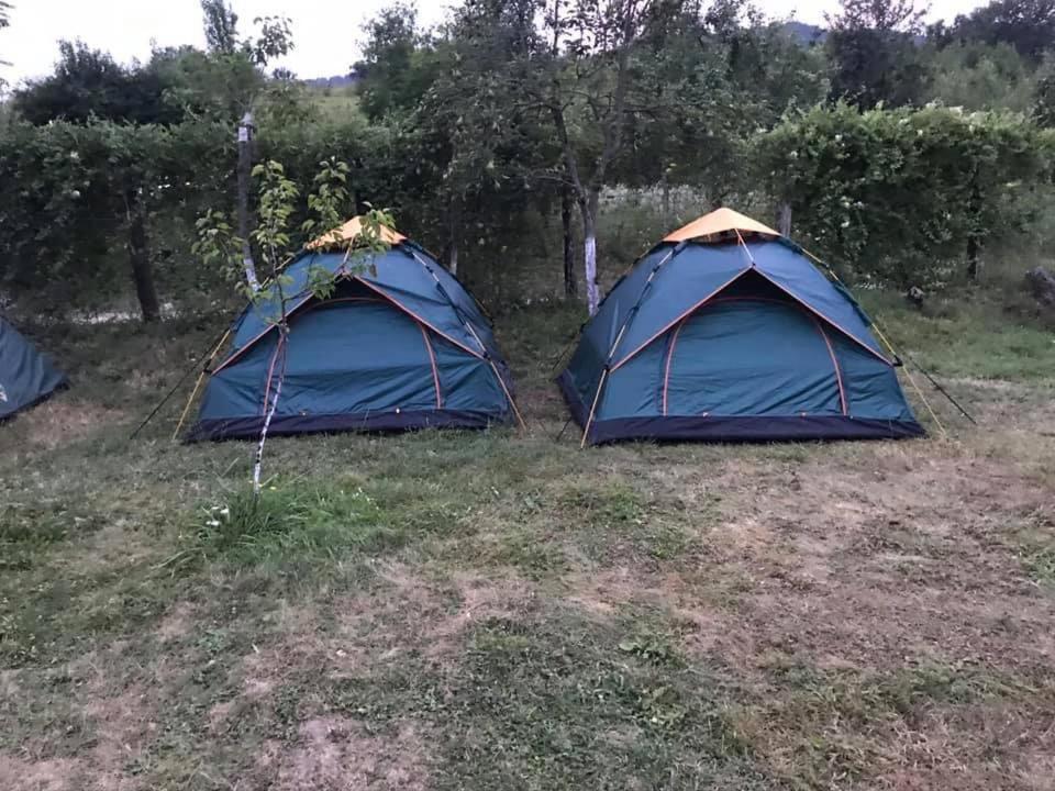 Camping In Clisura Dunarii Ieşelniţa Eksteriør billede