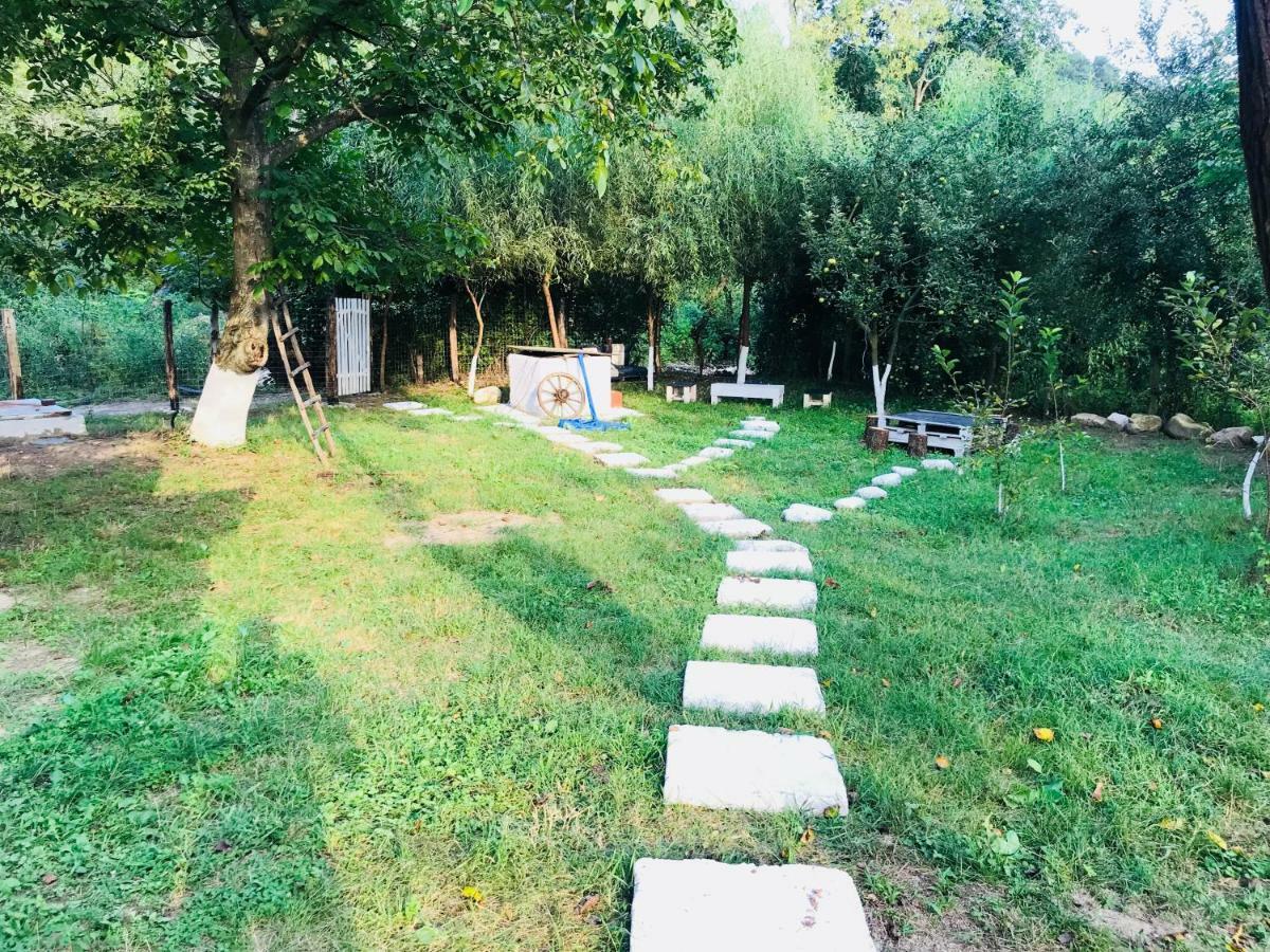 Camping In Clisura Dunarii Ieşelniţa Eksteriør billede