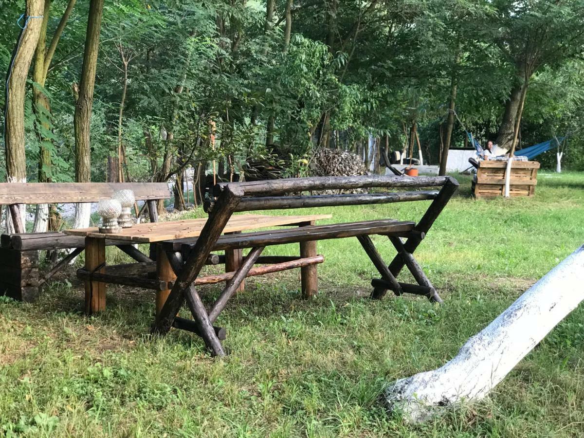 Camping In Clisura Dunarii Ieşelniţa Eksteriør billede