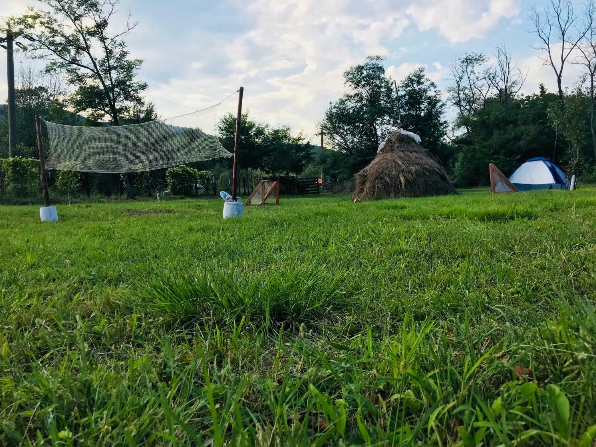 Camping In Clisura Dunarii Ieşelniţa Eksteriør billede
