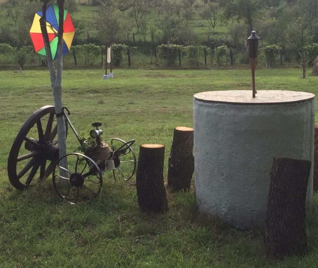 Camping In Clisura Dunarii Ieşelniţa Eksteriør billede