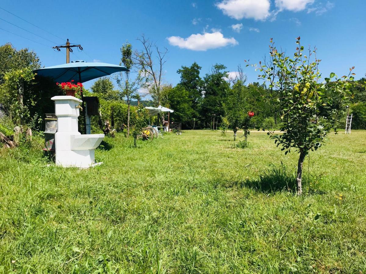 Camping In Clisura Dunarii Ieşelniţa Eksteriør billede