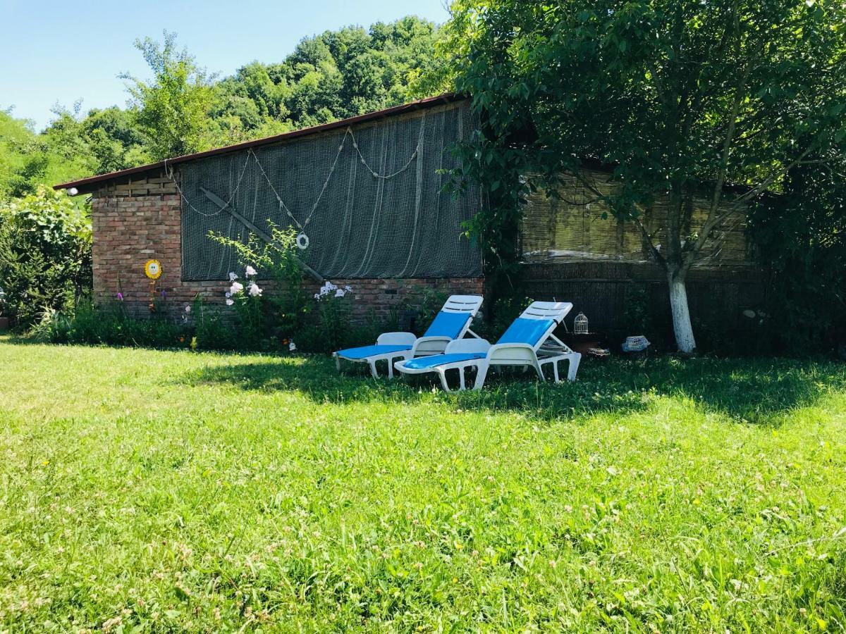 Camping In Clisura Dunarii Ieşelniţa Eksteriør billede