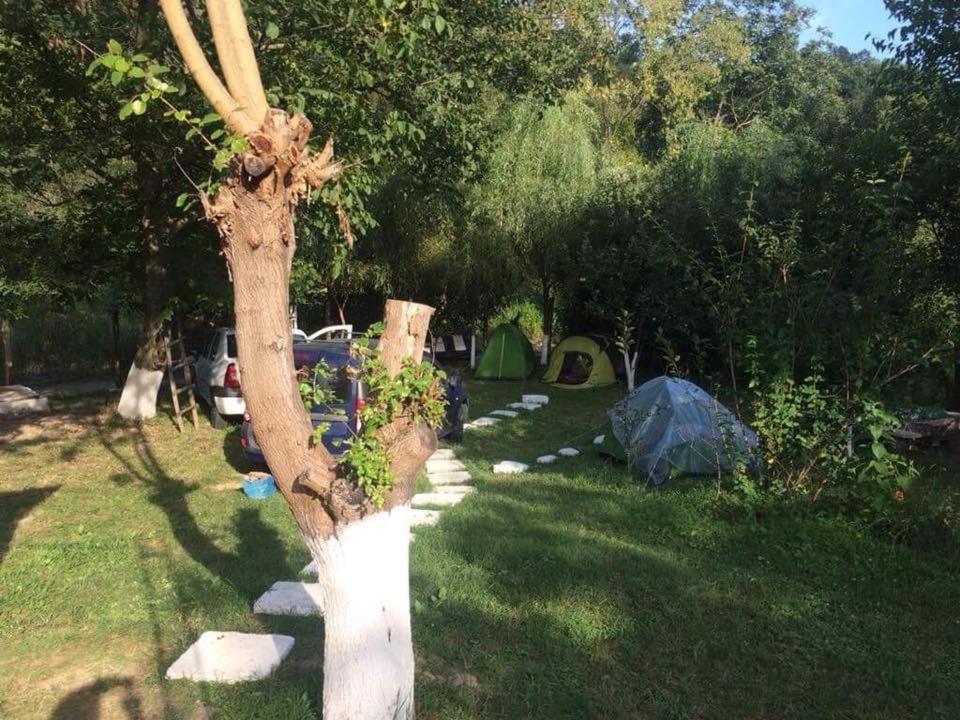 Camping In Clisura Dunarii Ieşelniţa Eksteriør billede