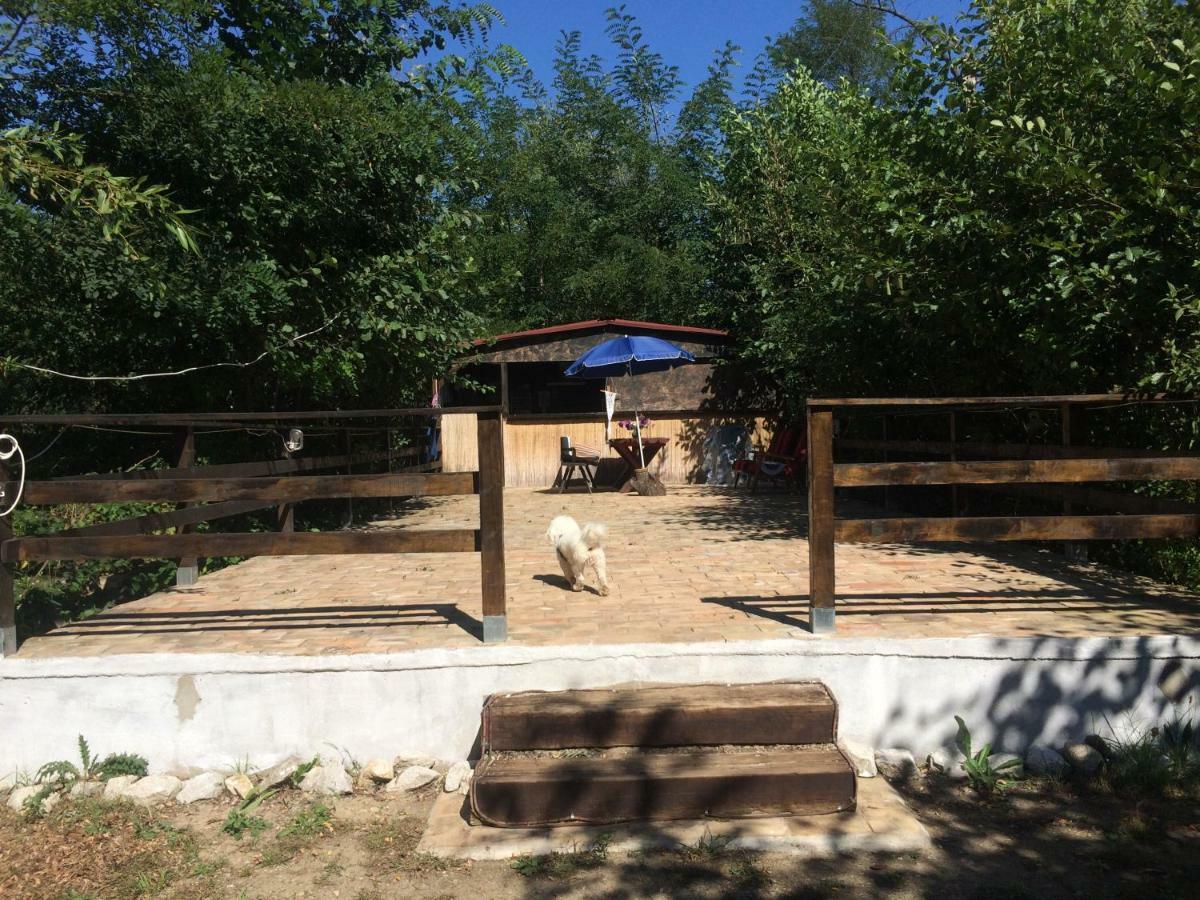Camping In Clisura Dunarii Ieşelniţa Eksteriør billede