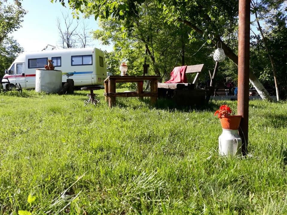 Camping In Clisura Dunarii Ieşelniţa Eksteriør billede